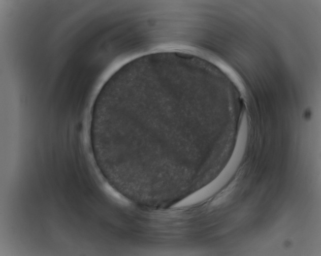 X0000100391102200807031943