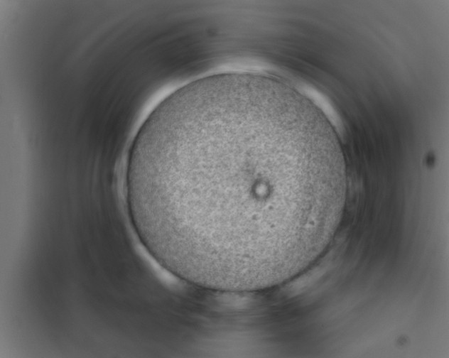 X0000100391103200807031943