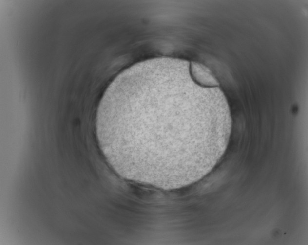 X0000100391105200807031943