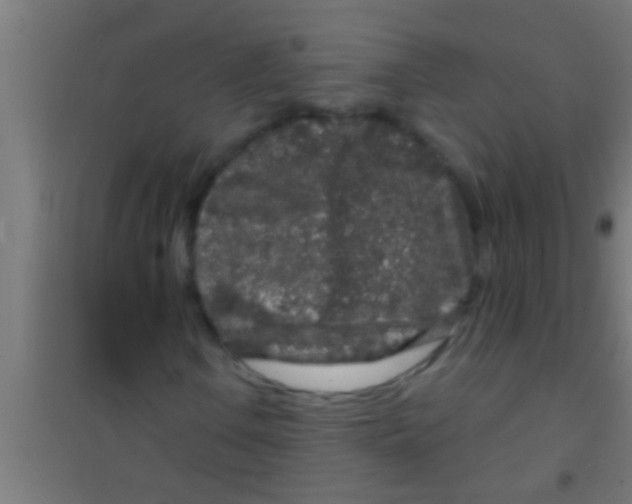 X0000100391106200807031943