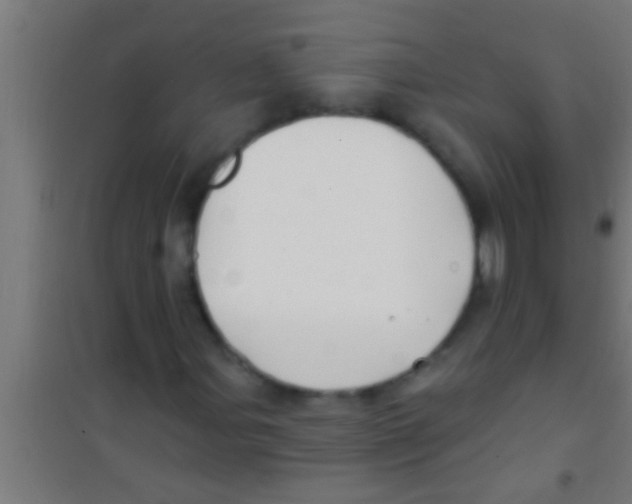 X0000100391107200807031943