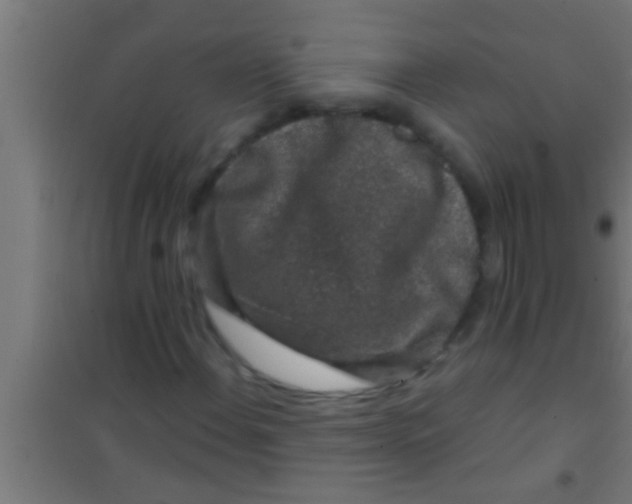 X0000100391108200807031943