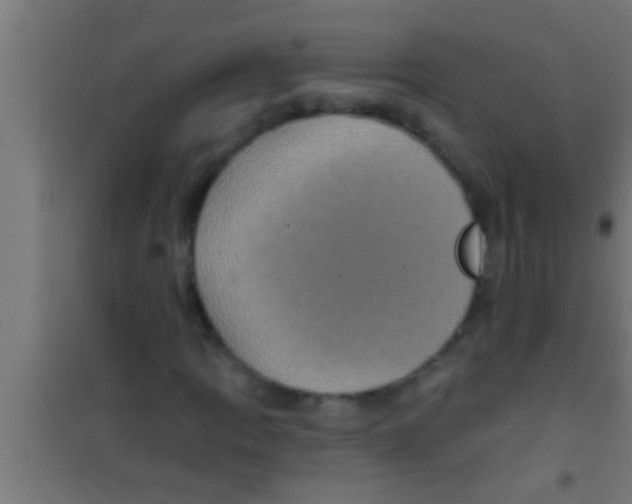 X0000100391109200807031943