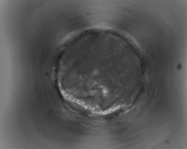 X0000100391110200807031943