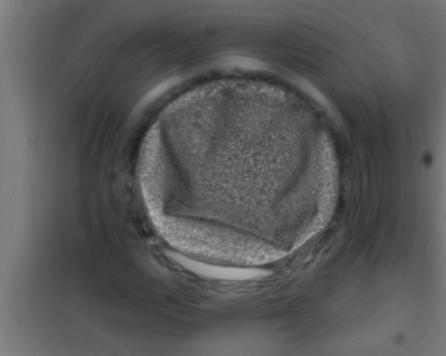 X0000100391112200807031943