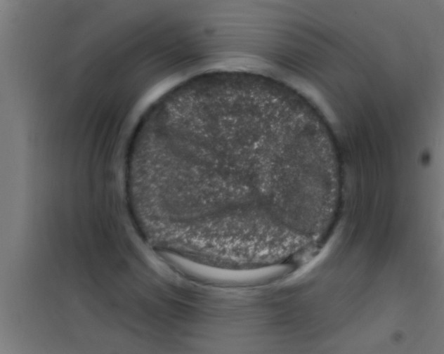 X0000100391114200807031943