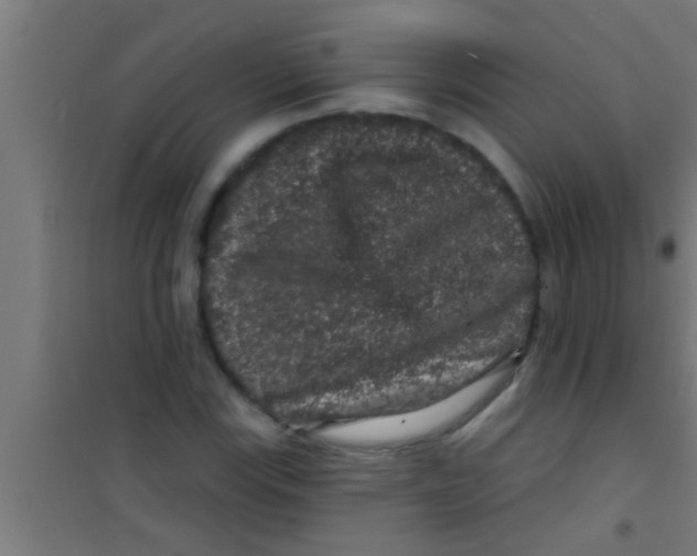 X0000100391115200807031943