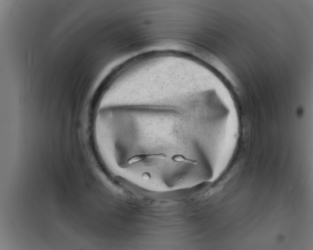 X0000100391116200807031943