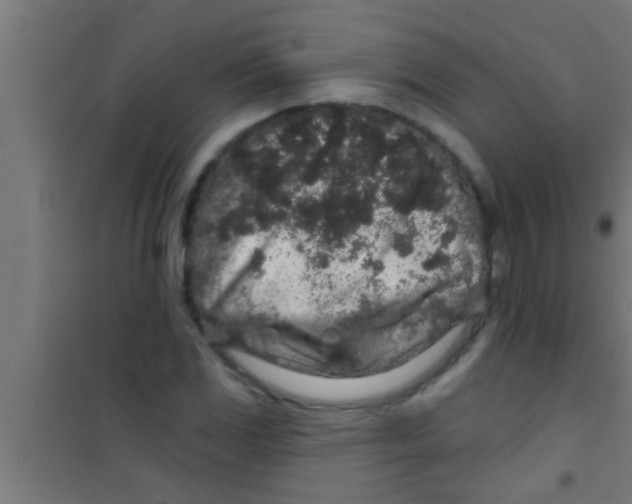 X0000100391117200807031943