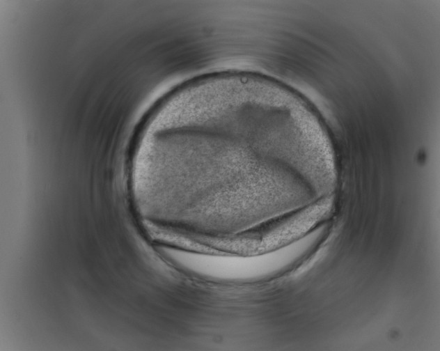 X0000100391118200807031943