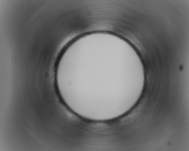 X0000100391119200807031943