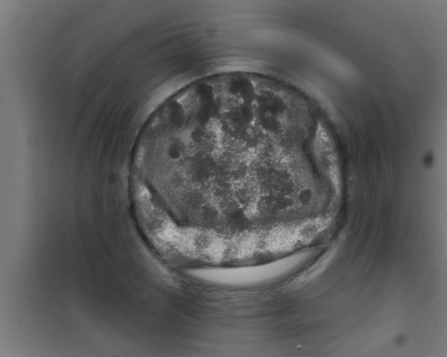 X0000100391121200807031943