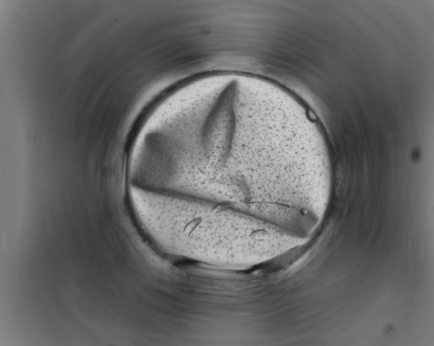 X0000100391123200807031943