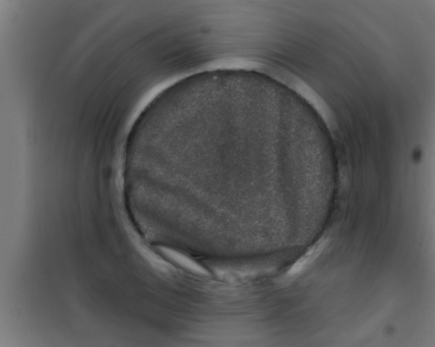 X0000100391124200807031943