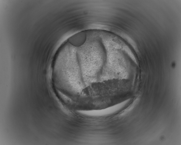 X0000100391125200807031943