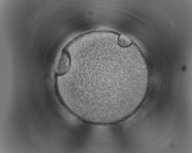 X0000100391126200807031943