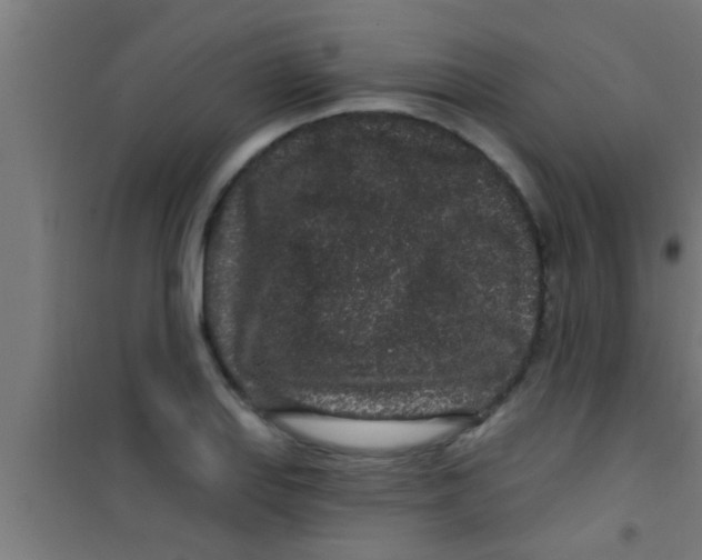 X0000100391127200807031943