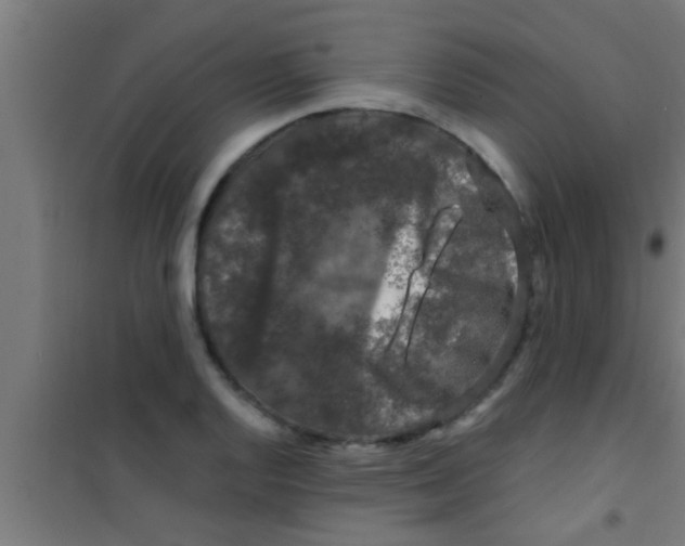 X0000100391128200807031943