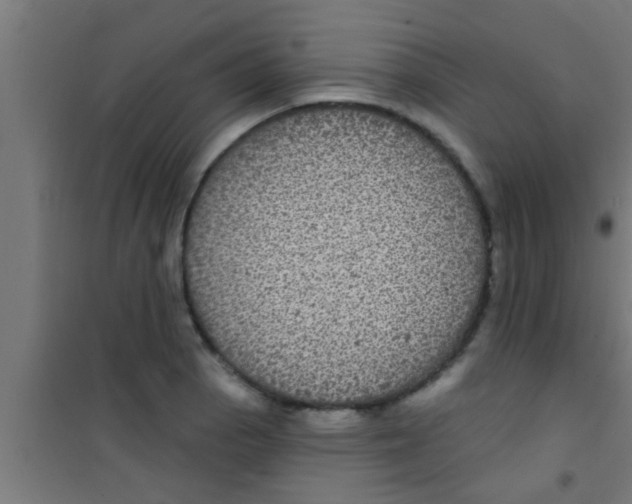 X0000100391129200807031943