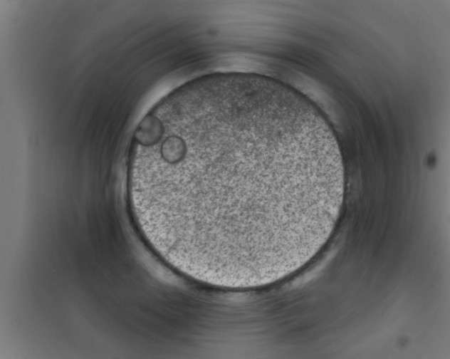 X0000100391130200807031943