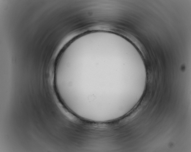 X0000100391131200807031943