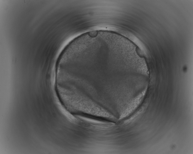 X0000100391132200807031943