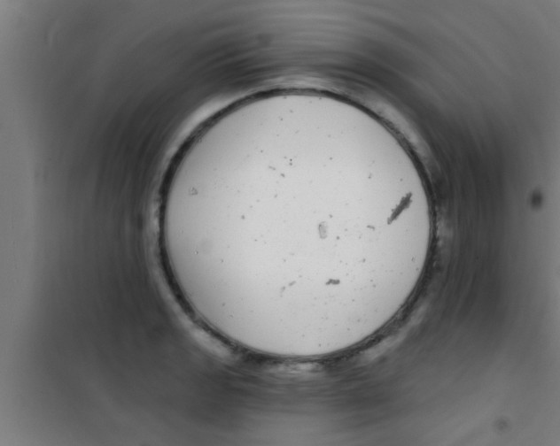 X0000100391133200807031943