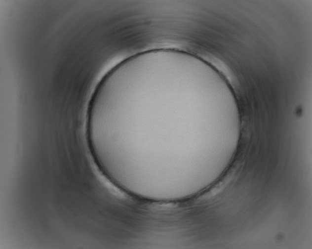 X0000100391135200807031943