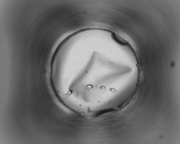 X0000100391136200807031943