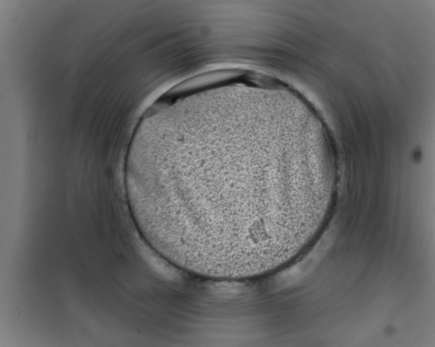 X0000100391137200807031943