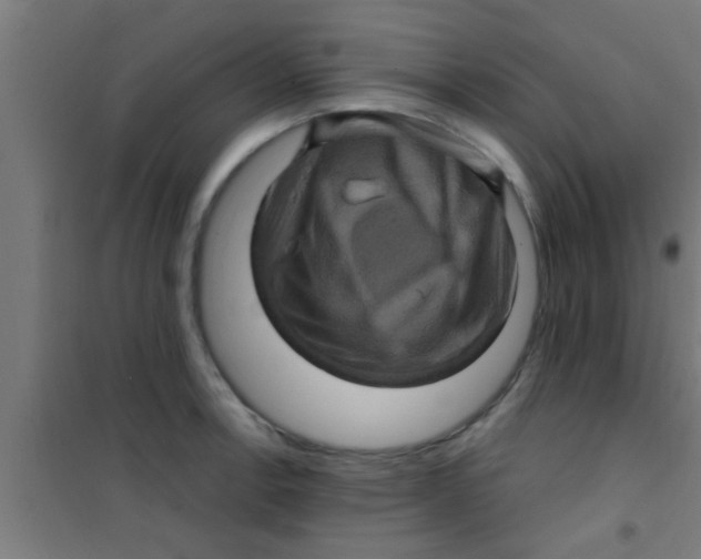 X0000100391138200807031943