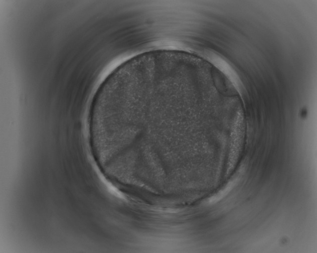 X0000100391141200807031943