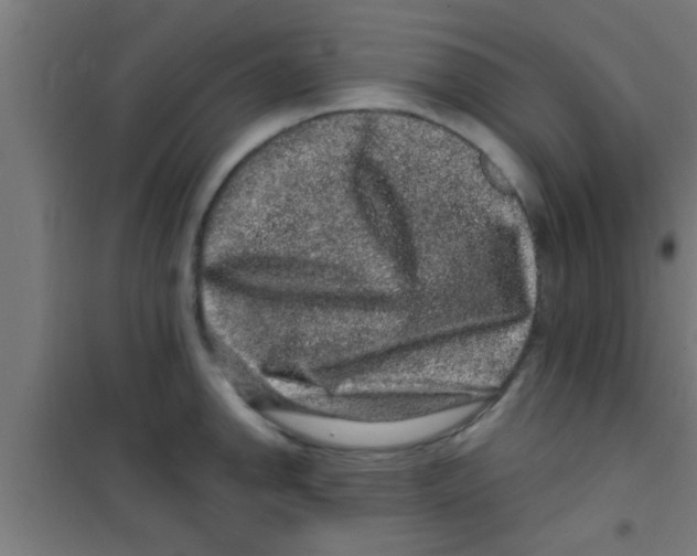 X0000100391142200807031943