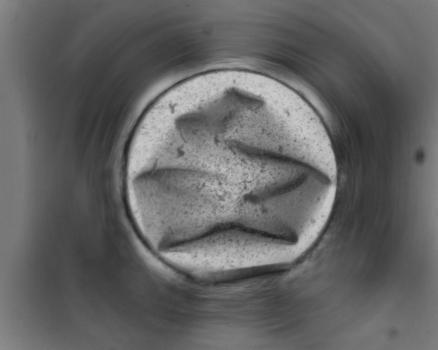 X0000100391143200807031943