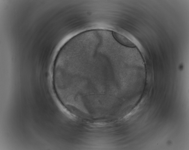 X0000100391144200807031943