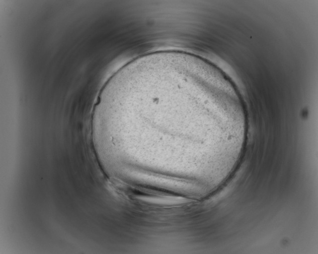 X0000100391145200807031943