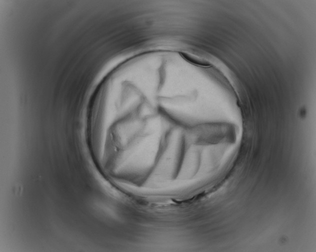 X0000100391147200807031943