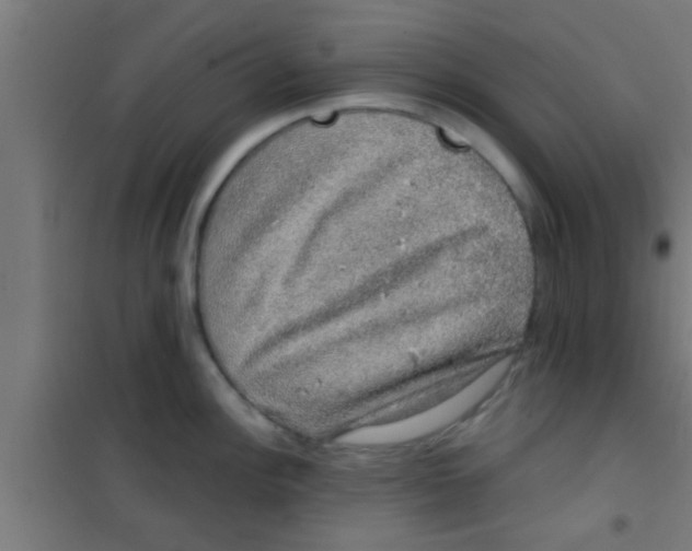 X0000100391148200807031943