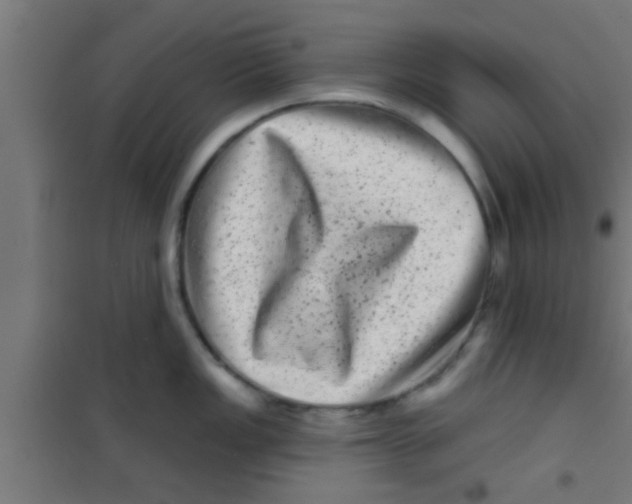 X0000100391149200807031943