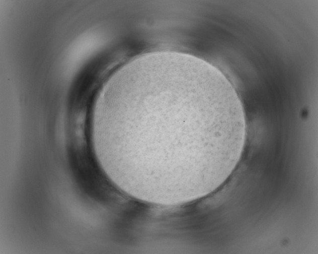 X0000100391150200807031943