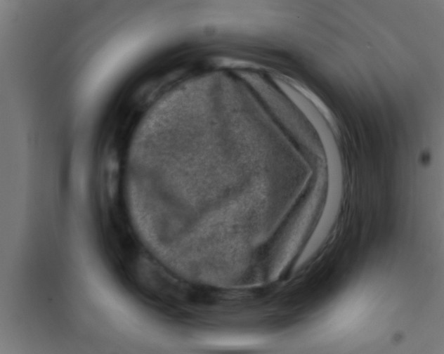 X0000100391151200807031943