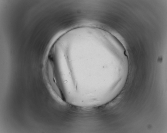 X0000100391152200807031943