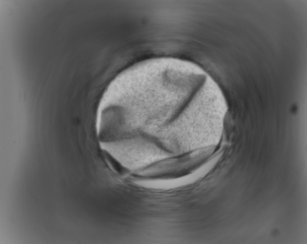 X0000100391153200807031943