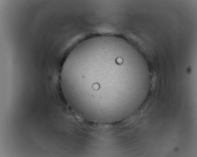 X0000100391157200807031943