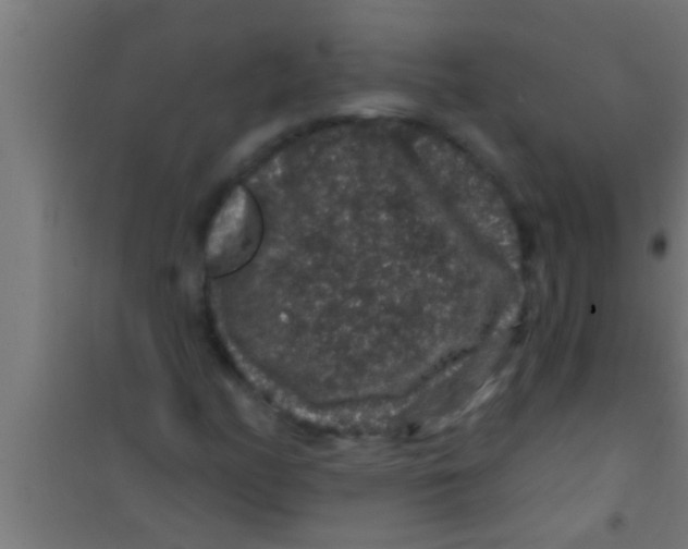 X0000100391158200807031943