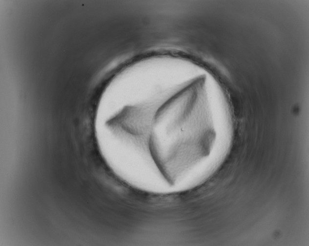 X0000100391159200807031943