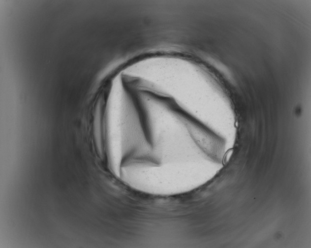 X0000100391160200807031943