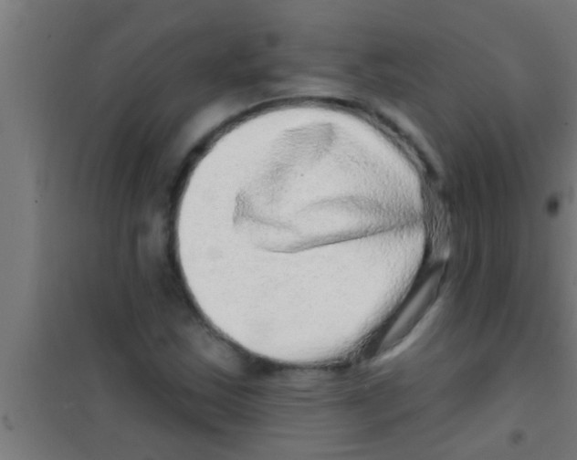 X0000100391163200807031943