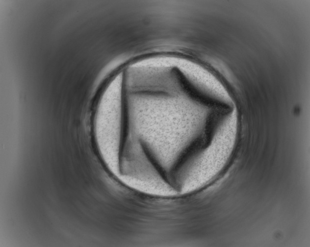 X0000100391164200807031943