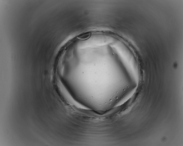 X0000100391165200807031943